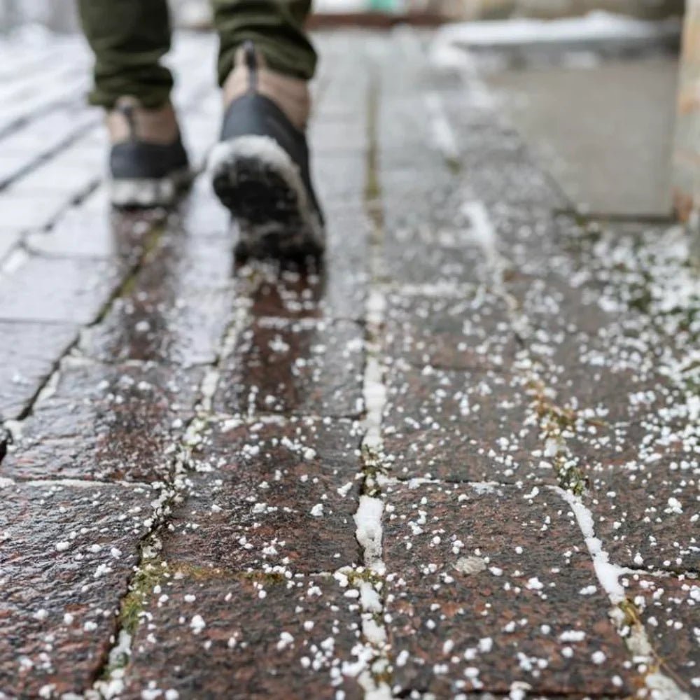 Dandy's De - icing White Rock Salt Grit - Trusted Building Supplies