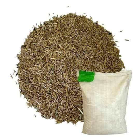 Dandy's Hardwearing Grass Seed - Trusted Building Supplies