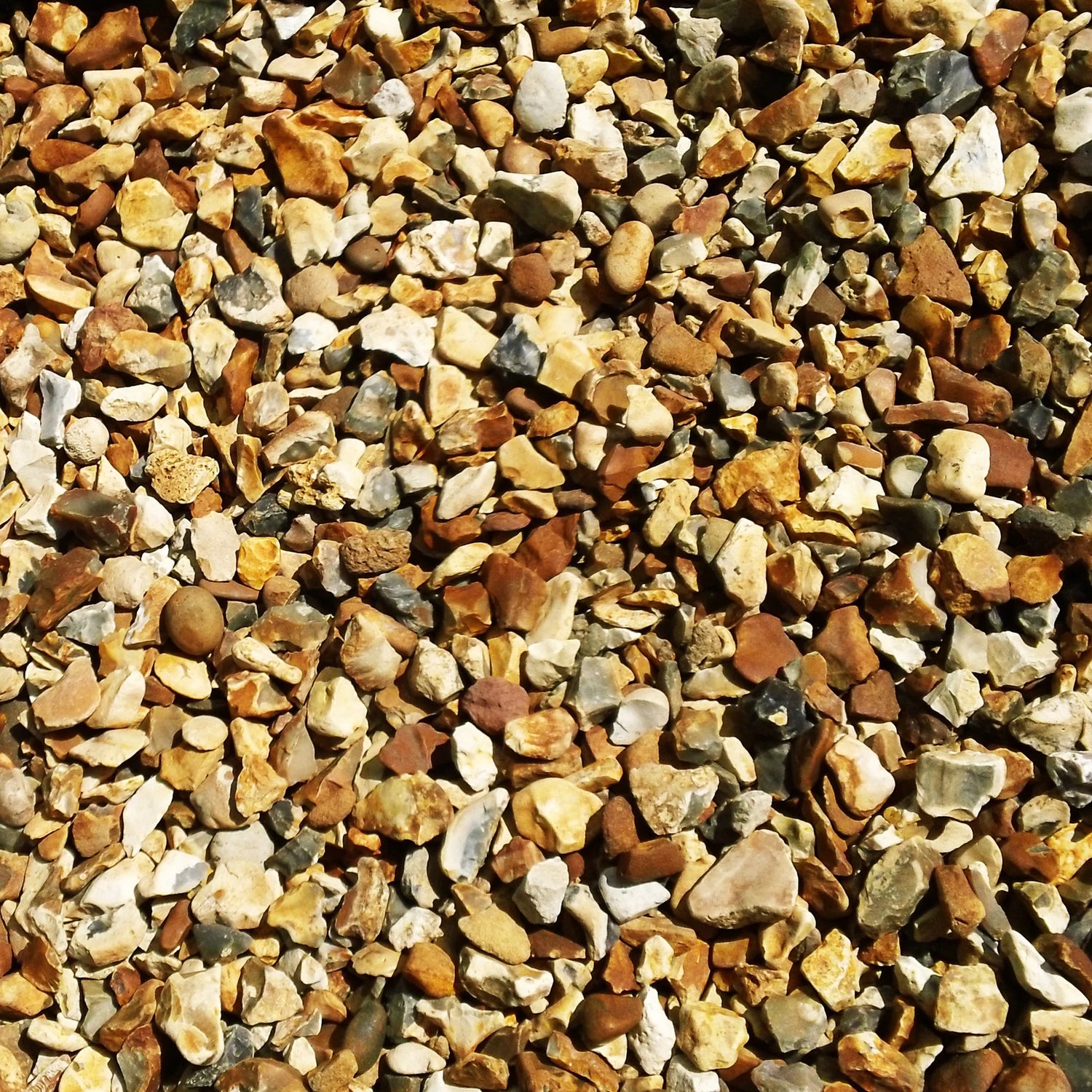 Dandy's Golden Gravel Chippings - Trusted Building Supplies