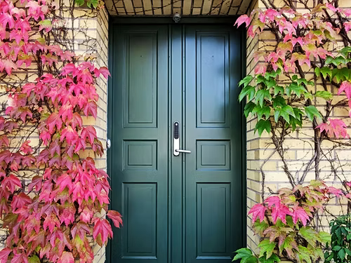 Hanford & Green Moss Green Exterior Paint for UPVC Doors & Window