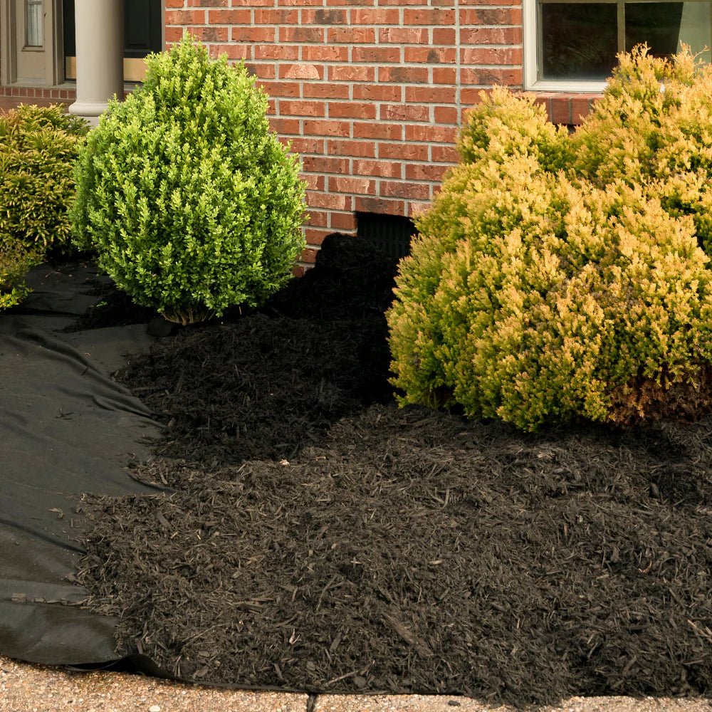 Dandy's Composted Mulch Fines - Trusted Building Supplies
