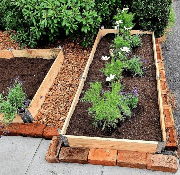 Dandy's VegeGrow Topsoil - Trusted Building Supplies