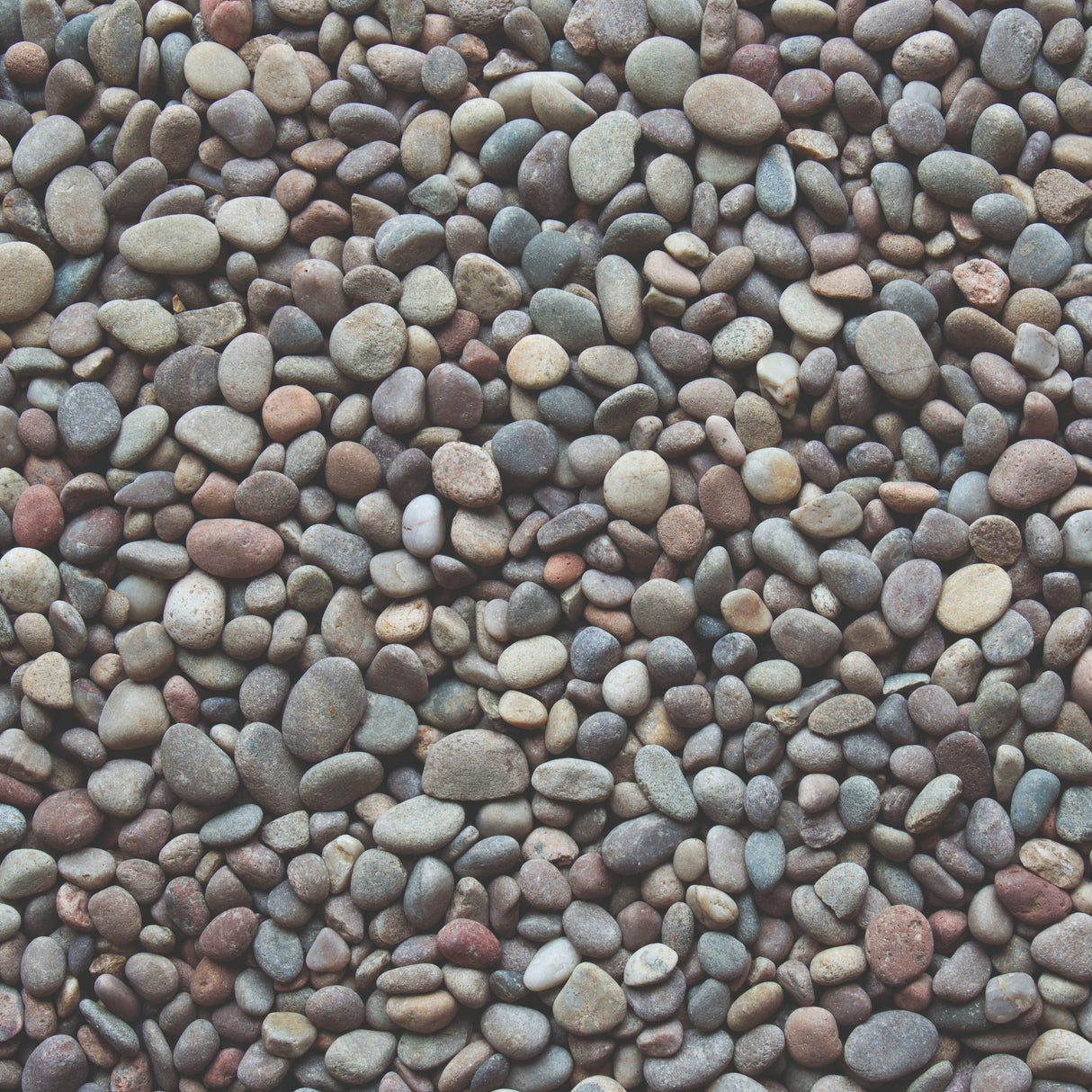 Bowland Stone Decorative 14 - 20mm Highland Pebbles Bulk Bag - Trusted Building Supplies