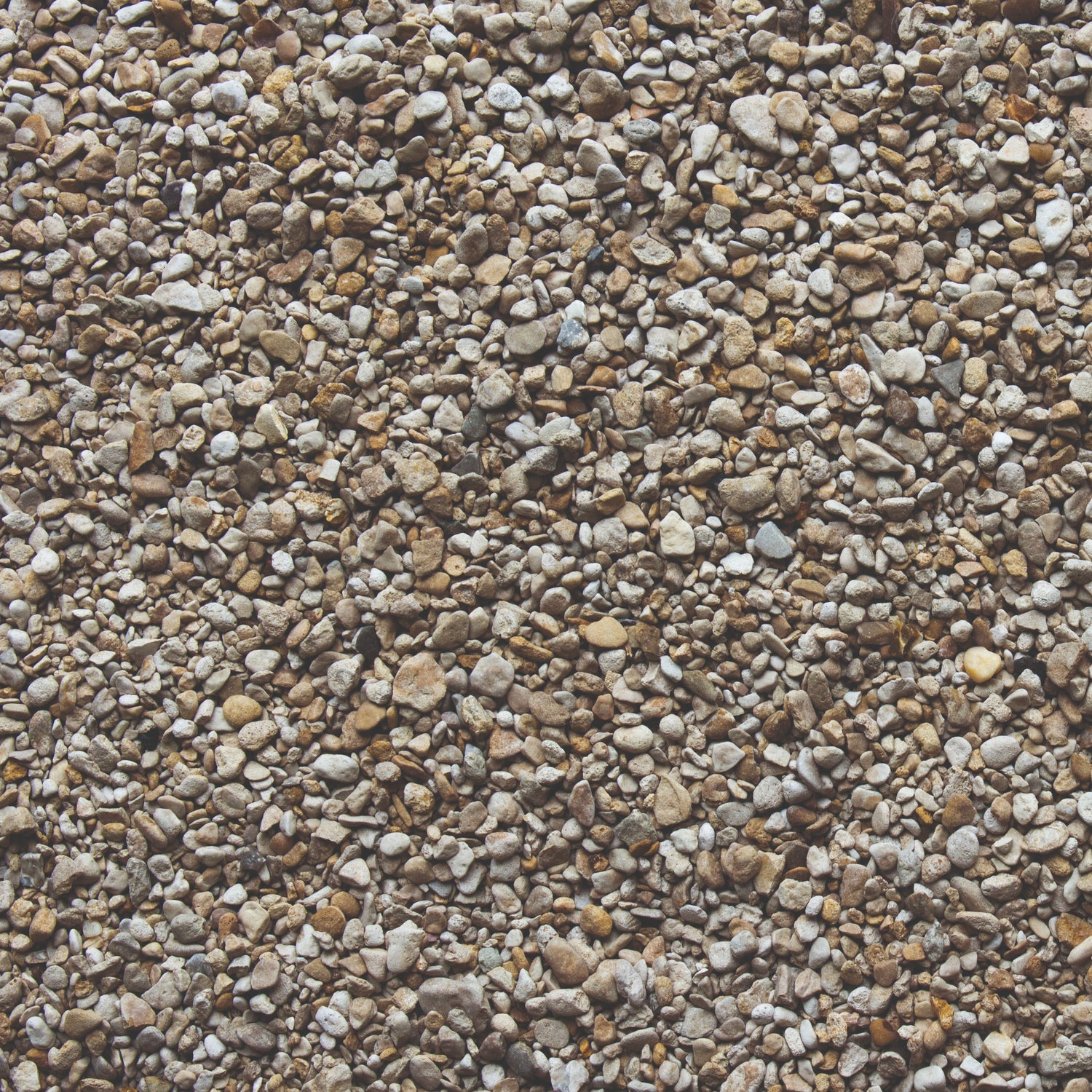 Bowland Stone Decorative 6 - 10mm Pea Gravel Chippings Bulk Bag - Trusted Building Supplies