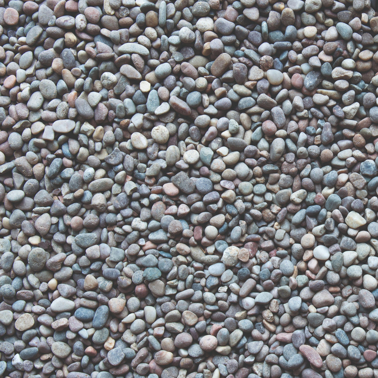 Bowland Stone Decorative 8 - 14mm Highland Pebbles Bulk Bag - Trusted Building Supplies