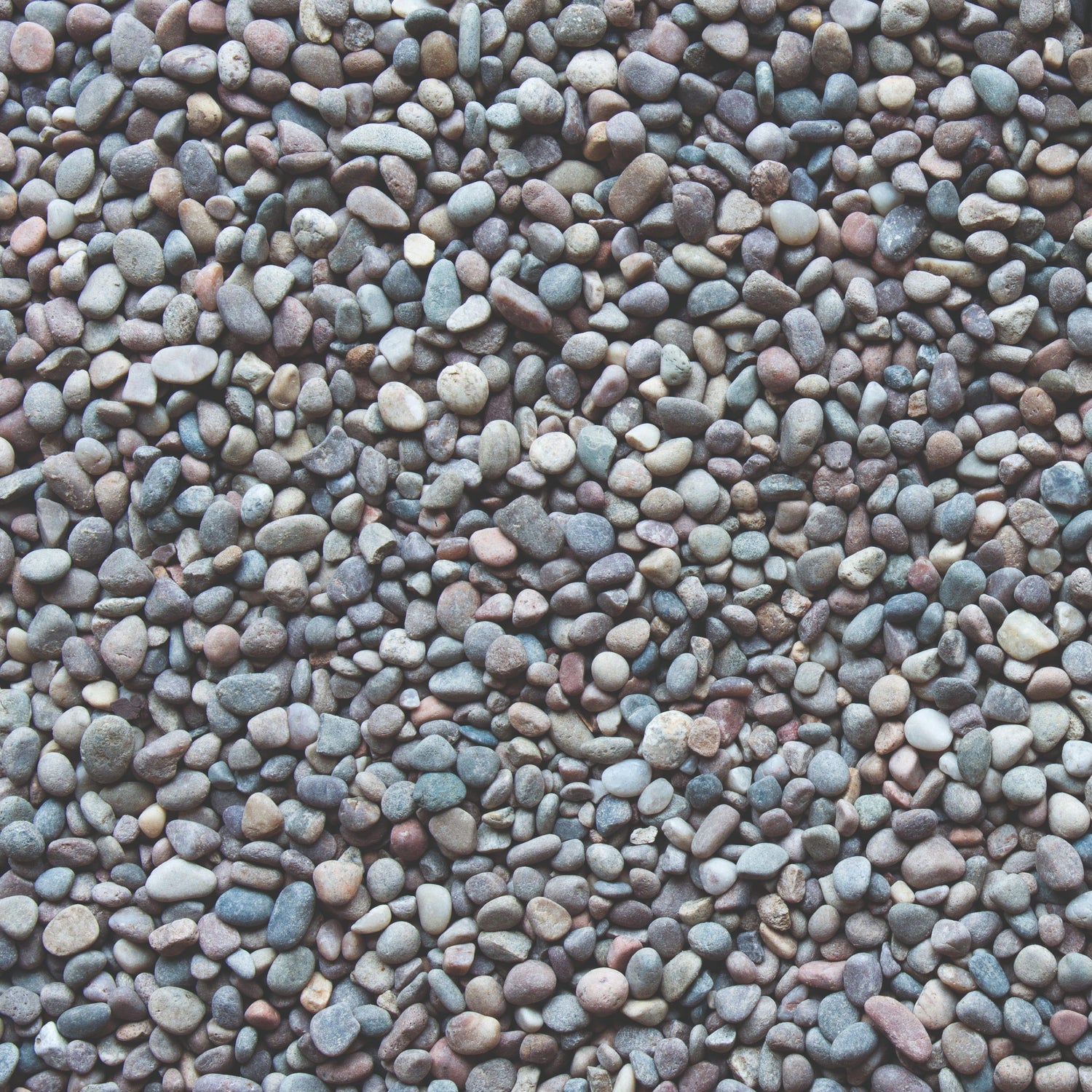 Bowland Stone Decorative 8 - 14mm Highland Pebbles Bulk Bag - Trusted Building Supplies