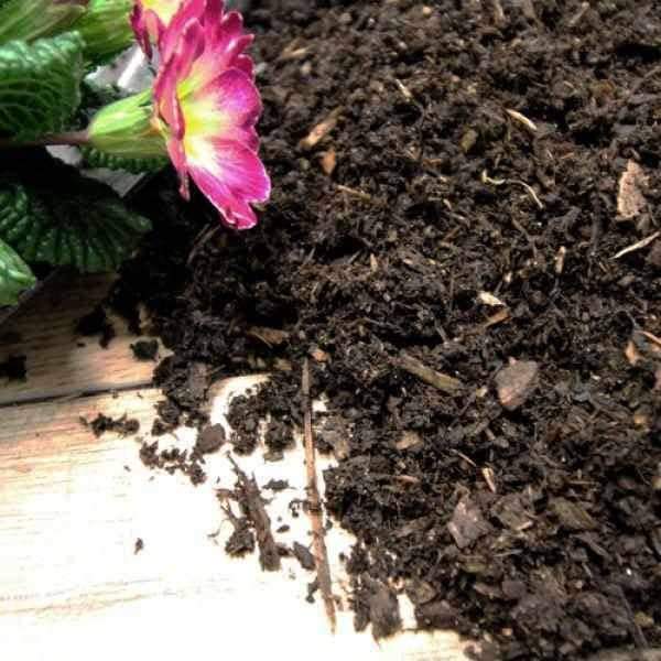 Dandy's Composted Mulch Fines - Trusted Building Supplies