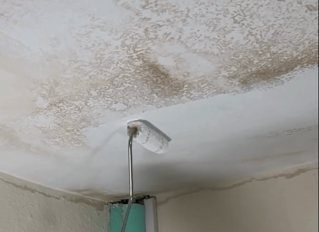 Coo - Var Anti - Condensation Paint - Trusted Building Supplies