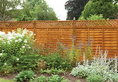 Forest Garden Diamond Lattice Fence Topper - Trusted Building Supplies