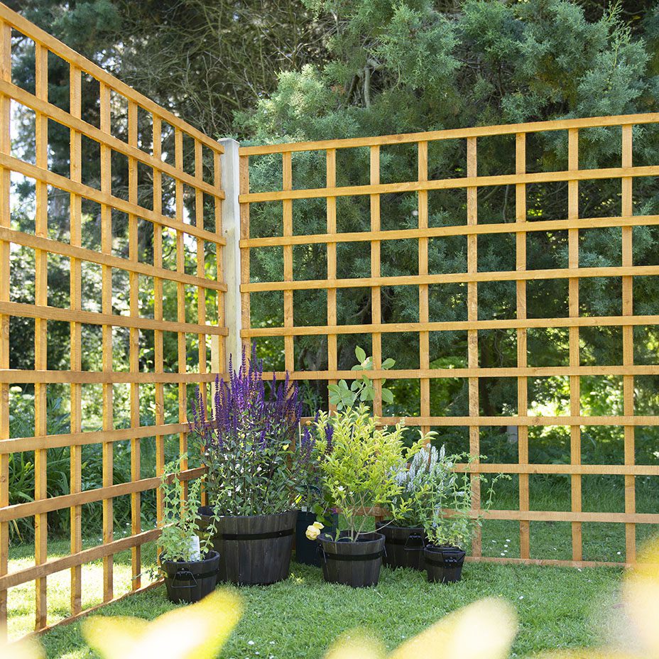 Forest Garden Heavy Duty Trellis - Trusted Building Supplies