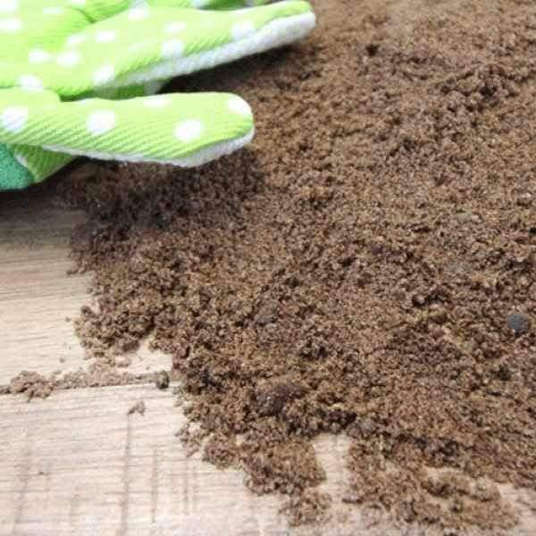 Dandy's Sharp Grit Sand - Trusted Building Supplies