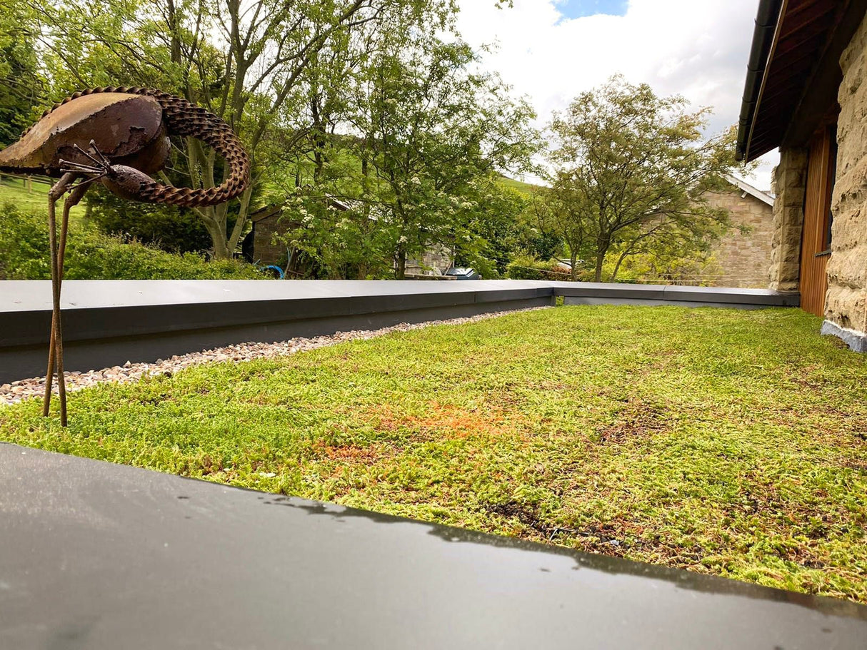 GrufeKit Sedum Green Roof Module - 540mm x 540mm - Trusted Building Supplies