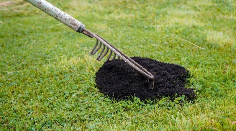 Pro - Grow Lawn Top Dressing Lawn Conditioner Bulk Bag - Trusted Building Supplies