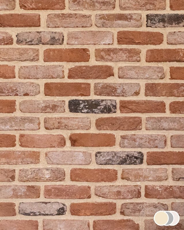 The Brick Tile Company Brick Slip Blend 12 Weathered Red - Pack of 35 - Trusted Building Supplies