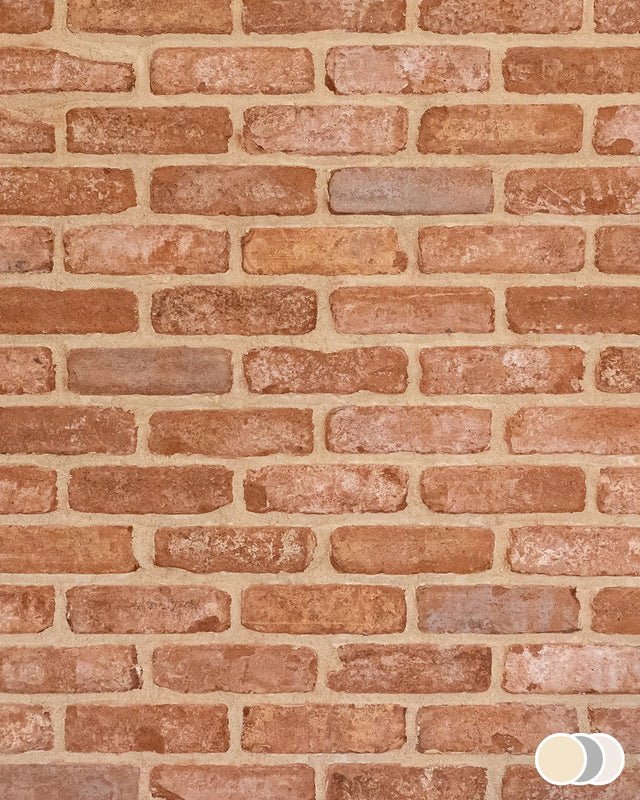 The Brick Tile Company Brick Slip Blend 5 Light Red - Pack of 35 - Trusted Building Supplies