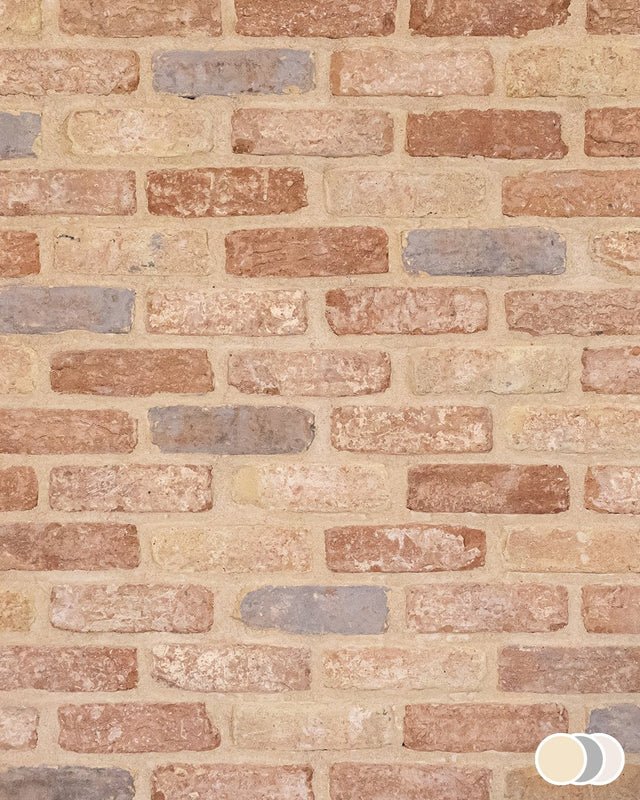 The Brick Tile Company Brick Slip Blend 6 Orange Buff - Pack of 35 - Trusted Building Supplies