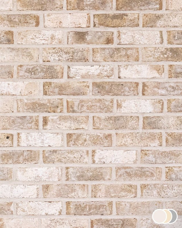 The Brick Tile Company Brick Slip Blend 71 Neutral Blend - Pack of 35 - Trusted Building Supplies