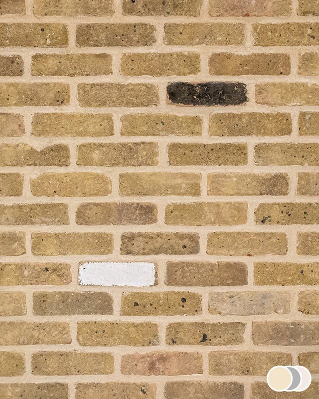 The Brick Tile Company Brick Slip Blend 9 Bold Yellow - Pack of 35 - Trusted Building Supplies