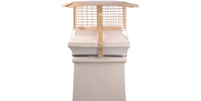 Brewer Square Gas Chimney Birdguard with Rain Cap