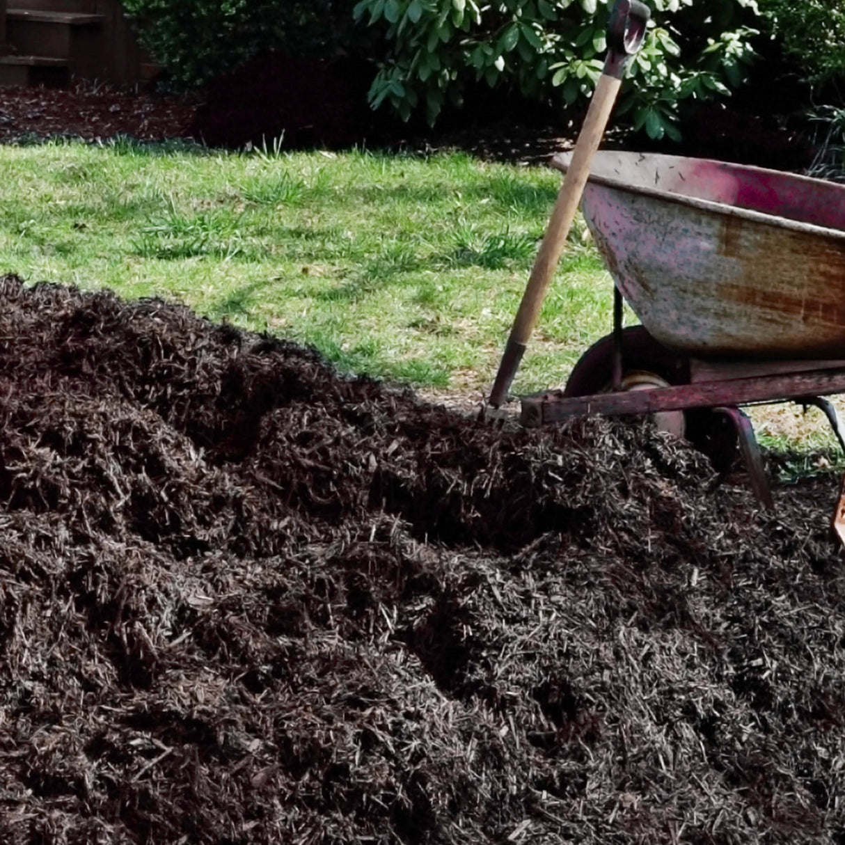 Dandy's Organic Manure Mushroom Spent Compost - Trusted Building Supplies