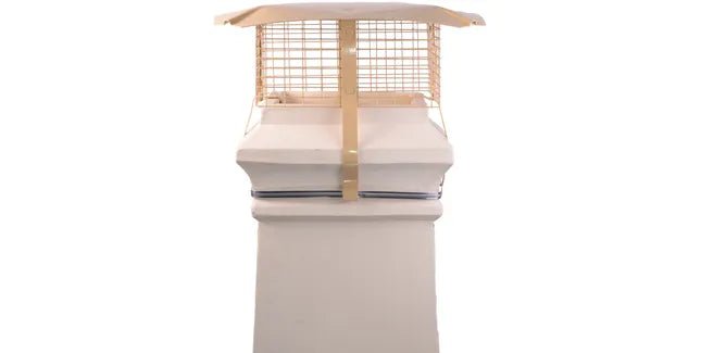 Brewer Square Gas Chimney Birdguard with Rain Cap - Trusted Building Supplies