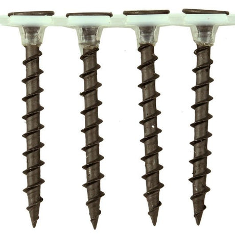 Evolution Course Thread Collated Drywall Screws - Trusted Building Supplies