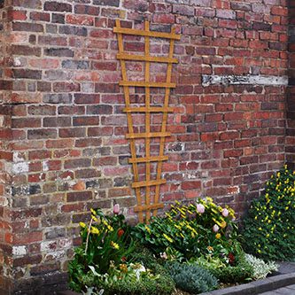 Forest Garden Heavy Duty Fan Trellis - 1830mm x 660mm - Trusted Building Supplies