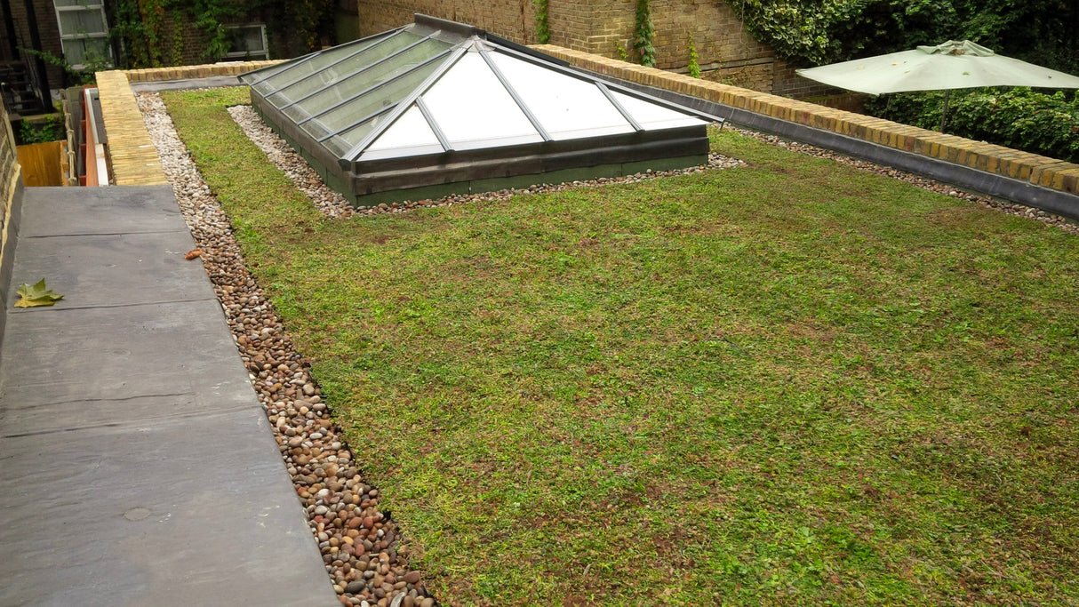 GrufeKit Sedum Green Roof Module - 540mm x 540mm - Trusted Building Supplies