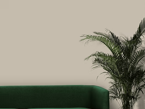 Hanford & Green Chesterton Chalk Interior Paint - Trusted Building Supplies