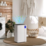 HOMCOM 12L Dehumidifier with Drain Hose and 2L Tank - Trusted Building Supplies