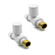 Kartell White Straight Radiator Valve 15mm - Pair - Trusted Building Supplies
