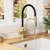 Nuie Ravi Mono Kitchen Sink Mixer Tap Dual Lever Handle - Trusted Building Supplies