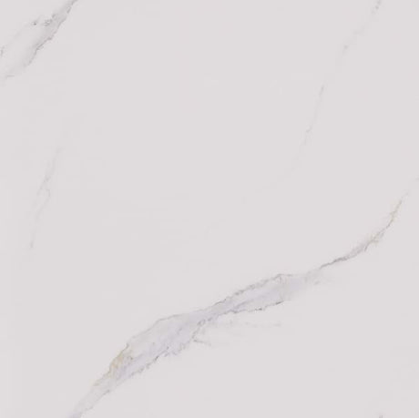 Splashpanel Carrara Marble Gloss PVC wall panels decorative finish