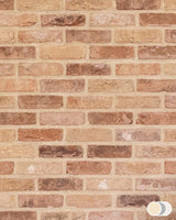 The Brick Tile Company Brick Slip Blend 11 Mixed Red - Pack of 35 - Trusted Building Supplies