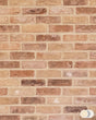 The Brick Tile Company Brick Slip Blend 11 Mixed Red - Pack of 35 - Trusted Building Supplies