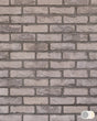 The Brick Tile Company Brick Slip Blend 16 Light Grey - Pack of 35 - Trusted Building Supplies