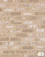 The Brick Tile Company Brick Slip Blend 2 Cream - Pack of 35 - Trusted Building Supplies