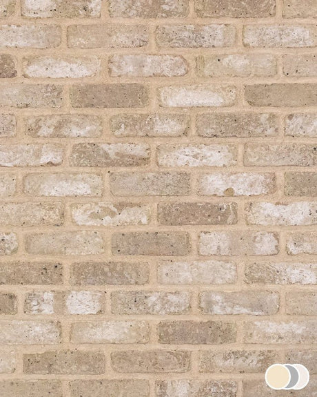 The Brick Tile Company Brick Slip Blend 2 Cream - Pack of 35 - Trusted Building Supplies