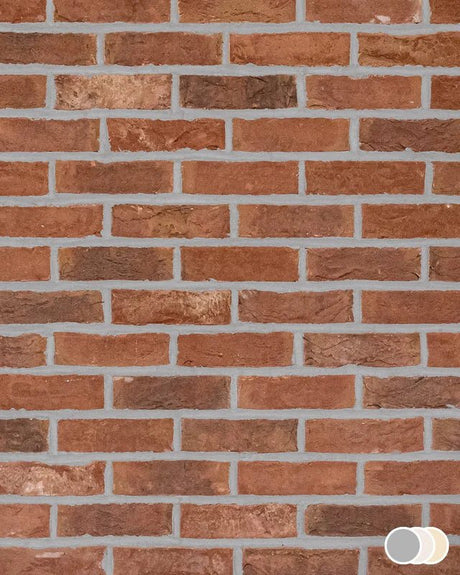 The Brick Tile Company Brick Slip Blend 23 Rich Red - Pack of 35 - Trusted Building Supplies