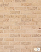 The Brick Tile Company Brick Slip Blend 30 Light Buff - Pack of 35 - Trusted Building Supplies