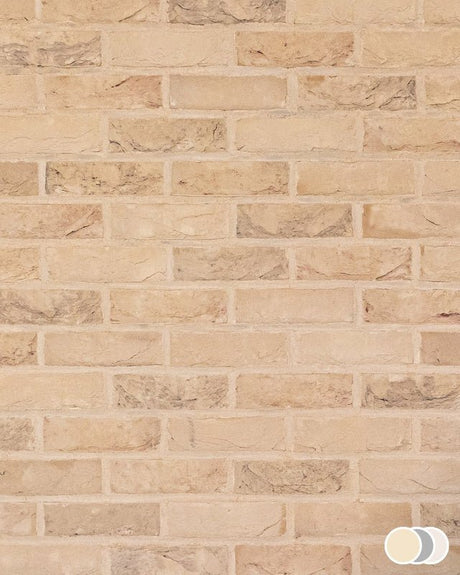 The Brick Tile Company Brick Slip Blend 30 Light Buff - Pack of 35 - Trusted Building Supplies