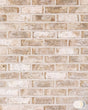The Brick Tile Company Brick Slip Blend 71 Neutral Blend - Pack of 35 - Trusted Building Supplies